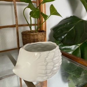 Porcupine white little pot